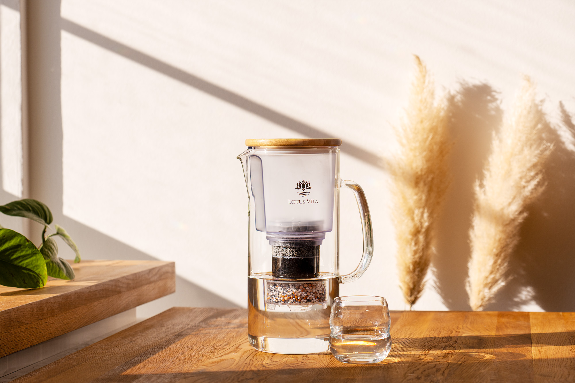 Lotus Vita ENYA glass filter pitcher