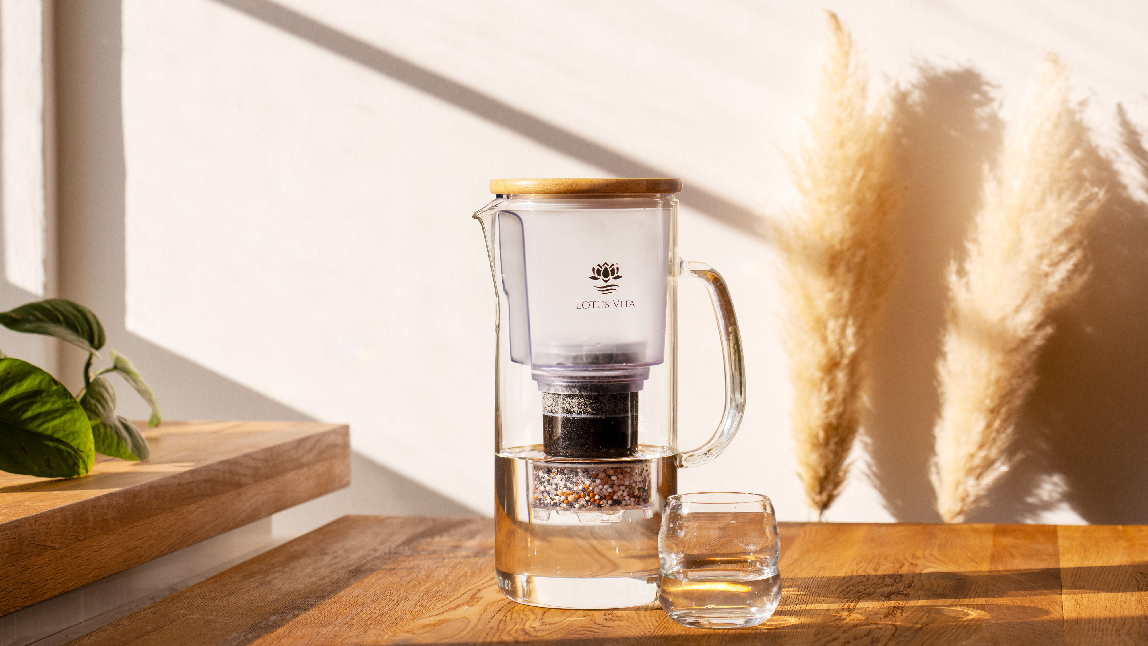 Lotus Vita ENYA glass filter pitcher