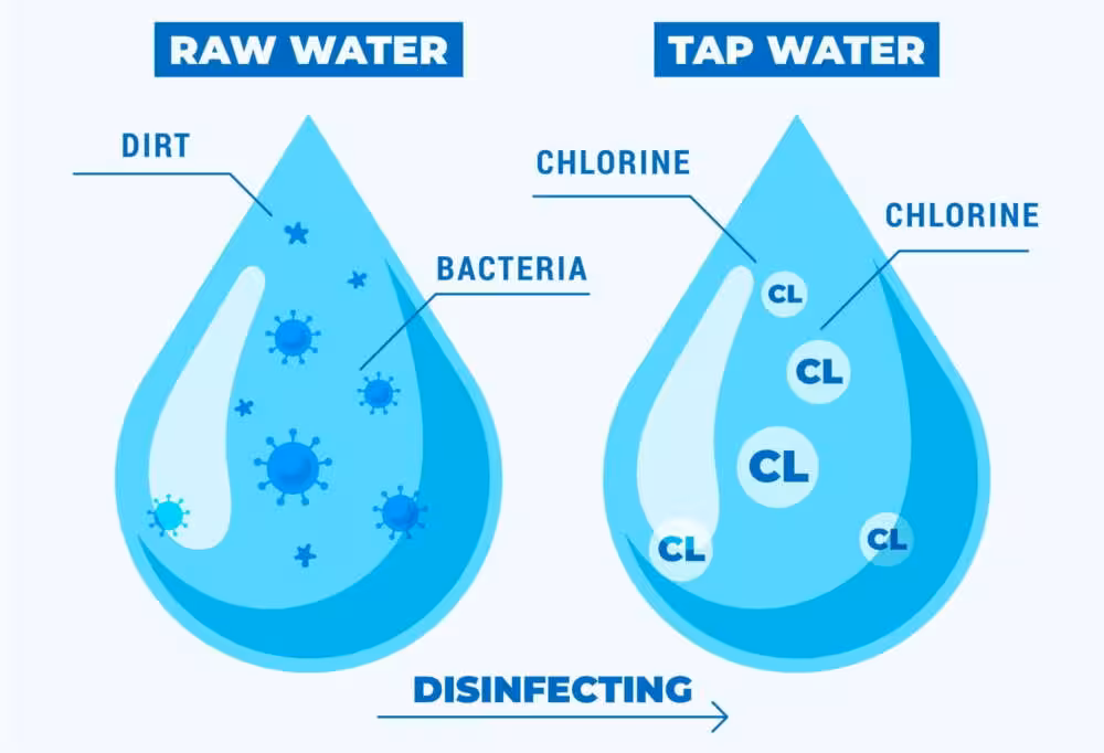 An infographic comparing a droplet of raw water containing dirt and bacteria to a droplet of tap water containing chlorine, illustrating the disinfection process.